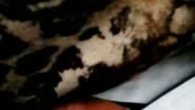 Beste porno Geen registratie  Gepassioneerd video porj meisje als zij willen een lul voelen