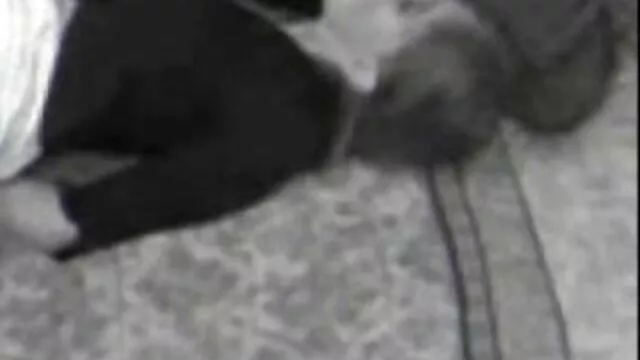 Beste porno Geen registratie  Mooie filme porno cu romance gratis blonde Kont.